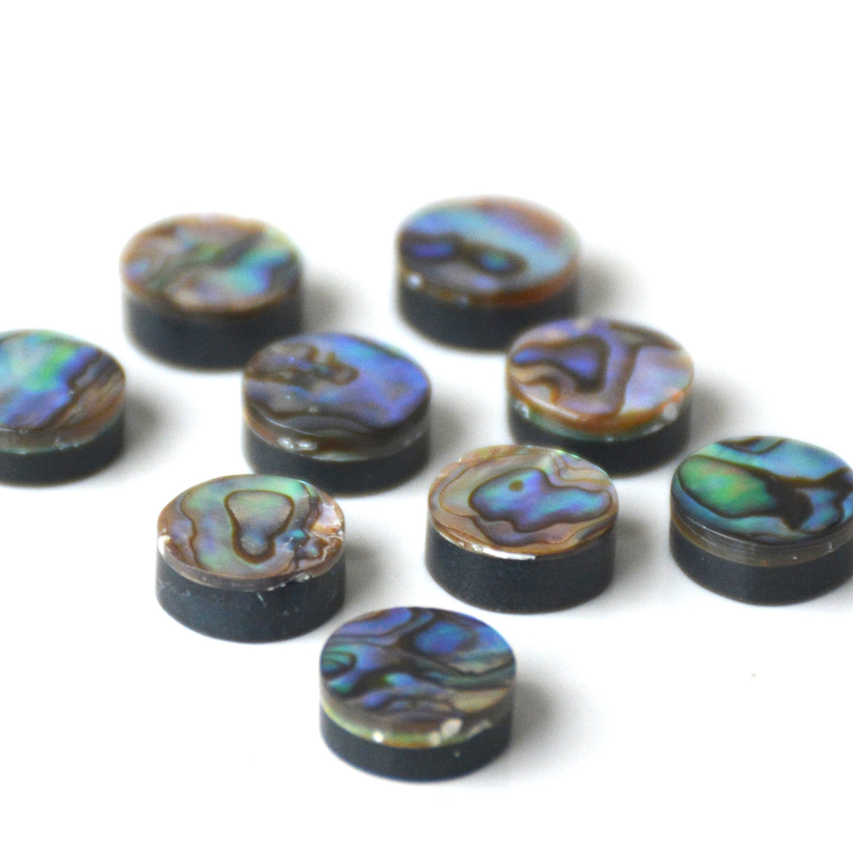 Abalone schelp doublet | Rond cabochon | 10 mm
