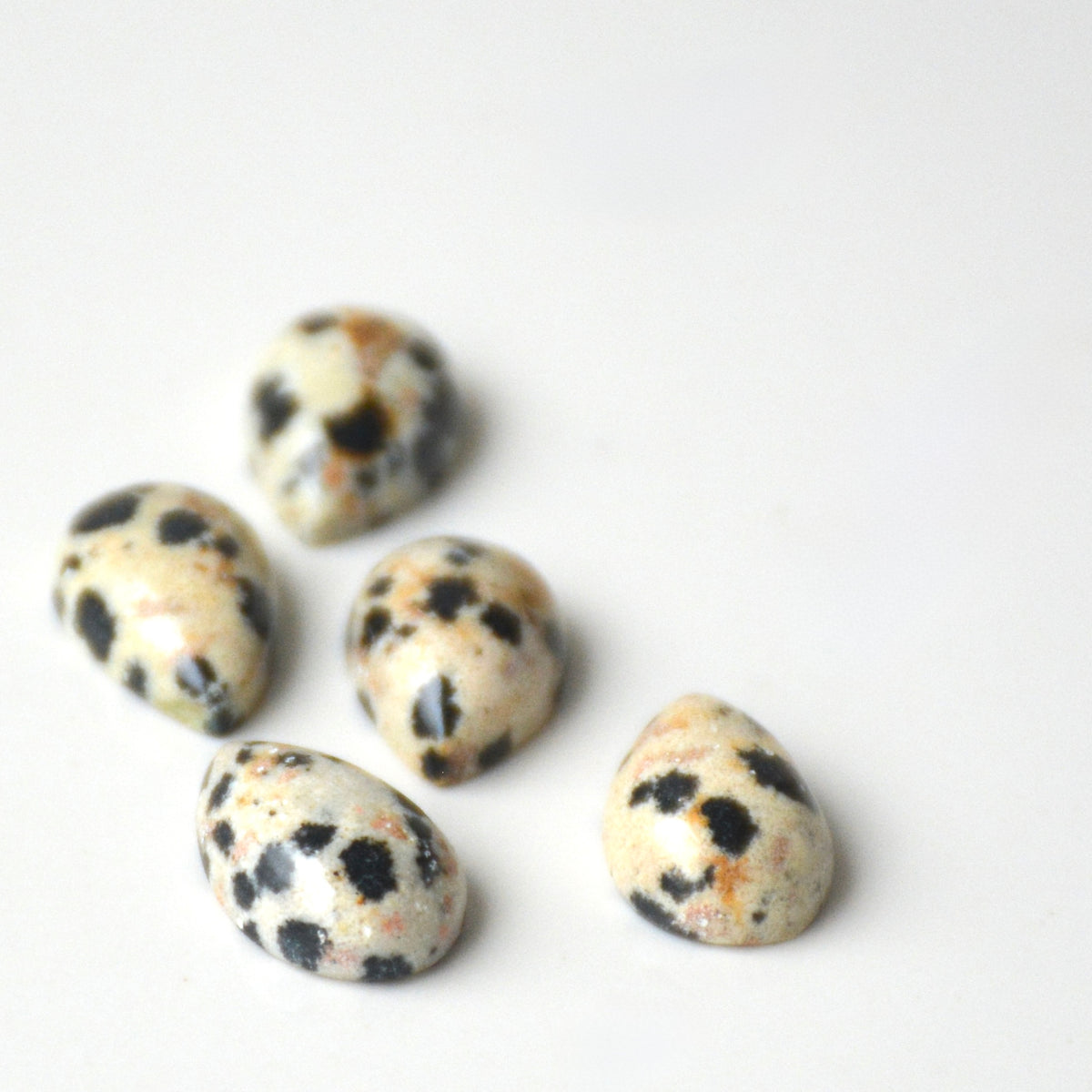Dalmatiër jaspis | Druppel cabochon | 12x8 mm