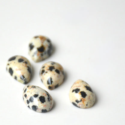 Dalmatiër jaspis | Druppel cabochon | 12x8 mm