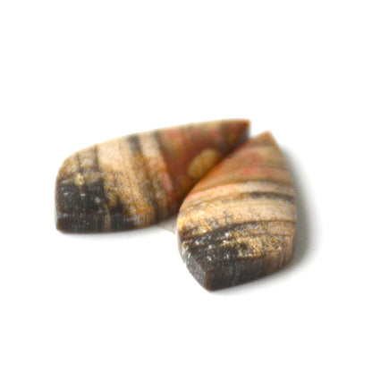 Versteend hout | Cabochon paar | 27x12 mm