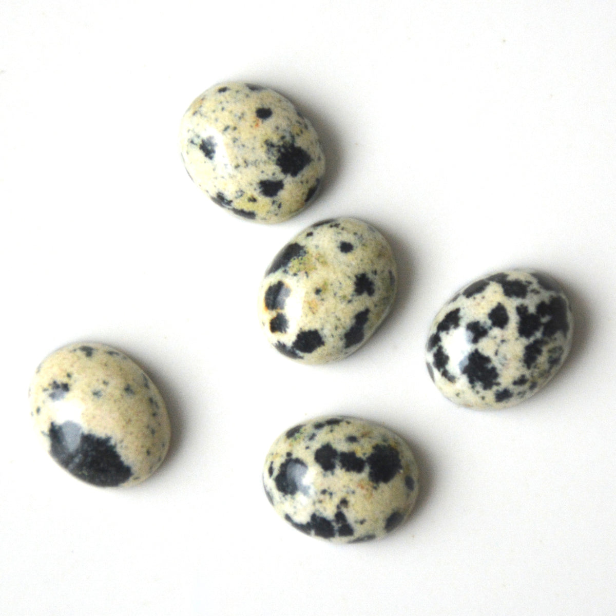 Dalmatiër jaspis | Ovaal cabochon | 10x8 mm