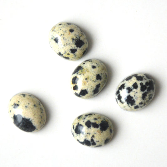 Dalmatiër jaspis | Ovaal cabochon | 10x8 mm