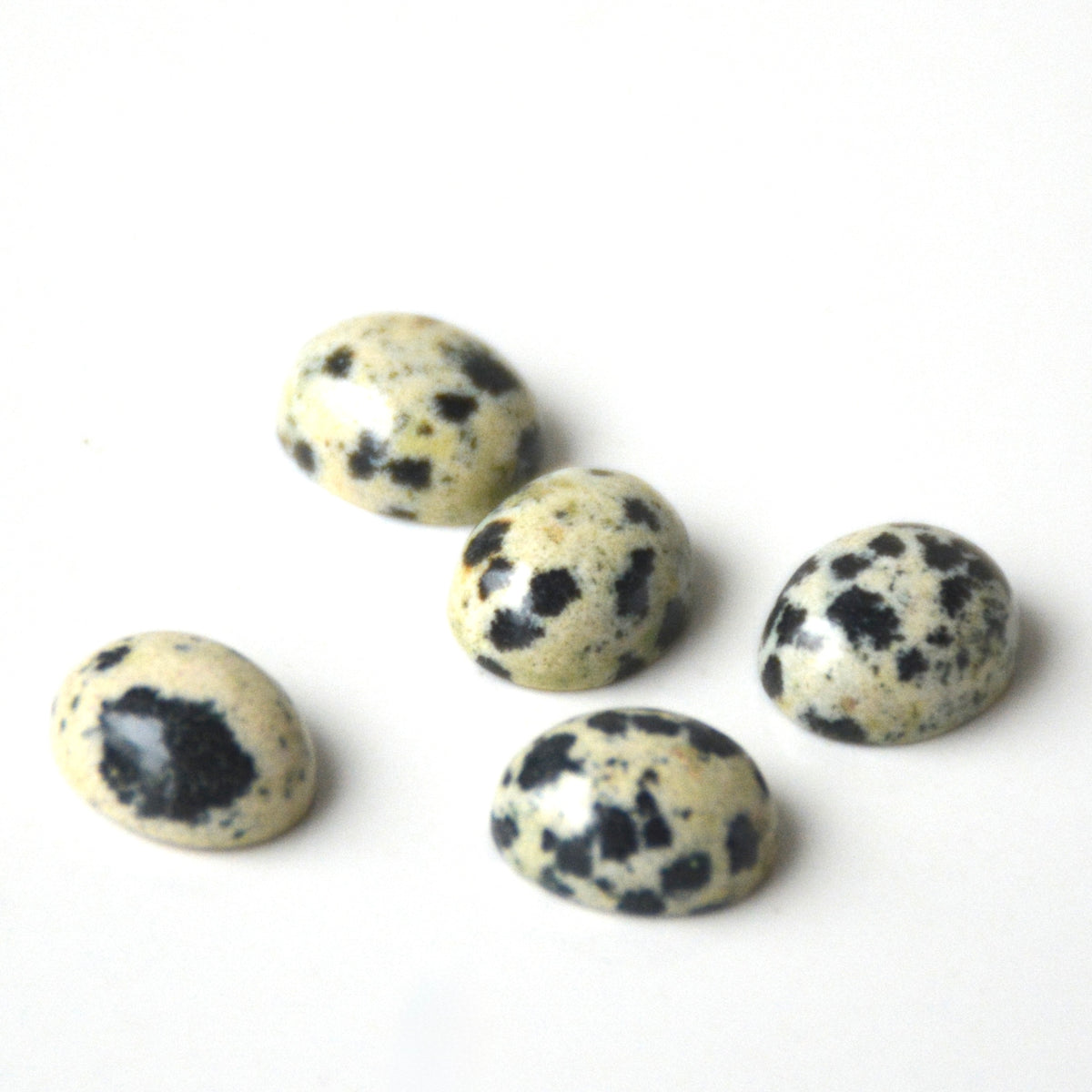 Dalmatiër jaspis | Ovaal cabochon | 10x8 mm