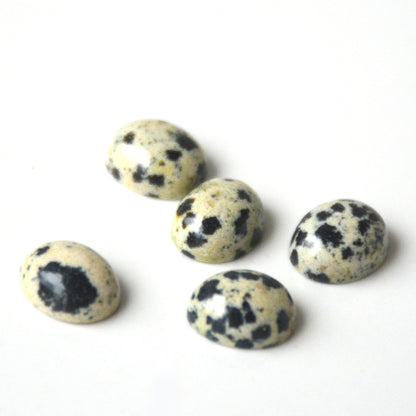 Dalmatiër jaspis | Ovaal cabochon | 10x8 mm