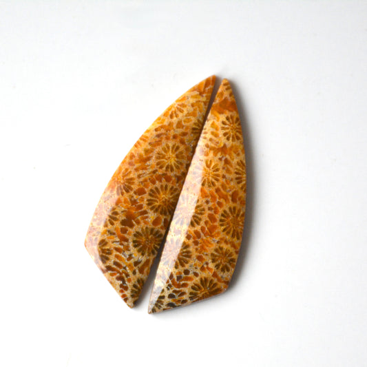 Fossiel koraal | Cabochon paar | 34x10 mm