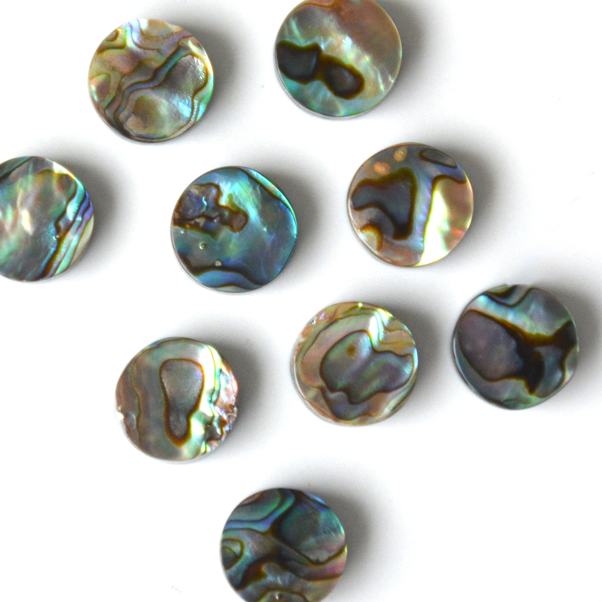 Abalone schelp doublet | Rond cabochon | 10 mm