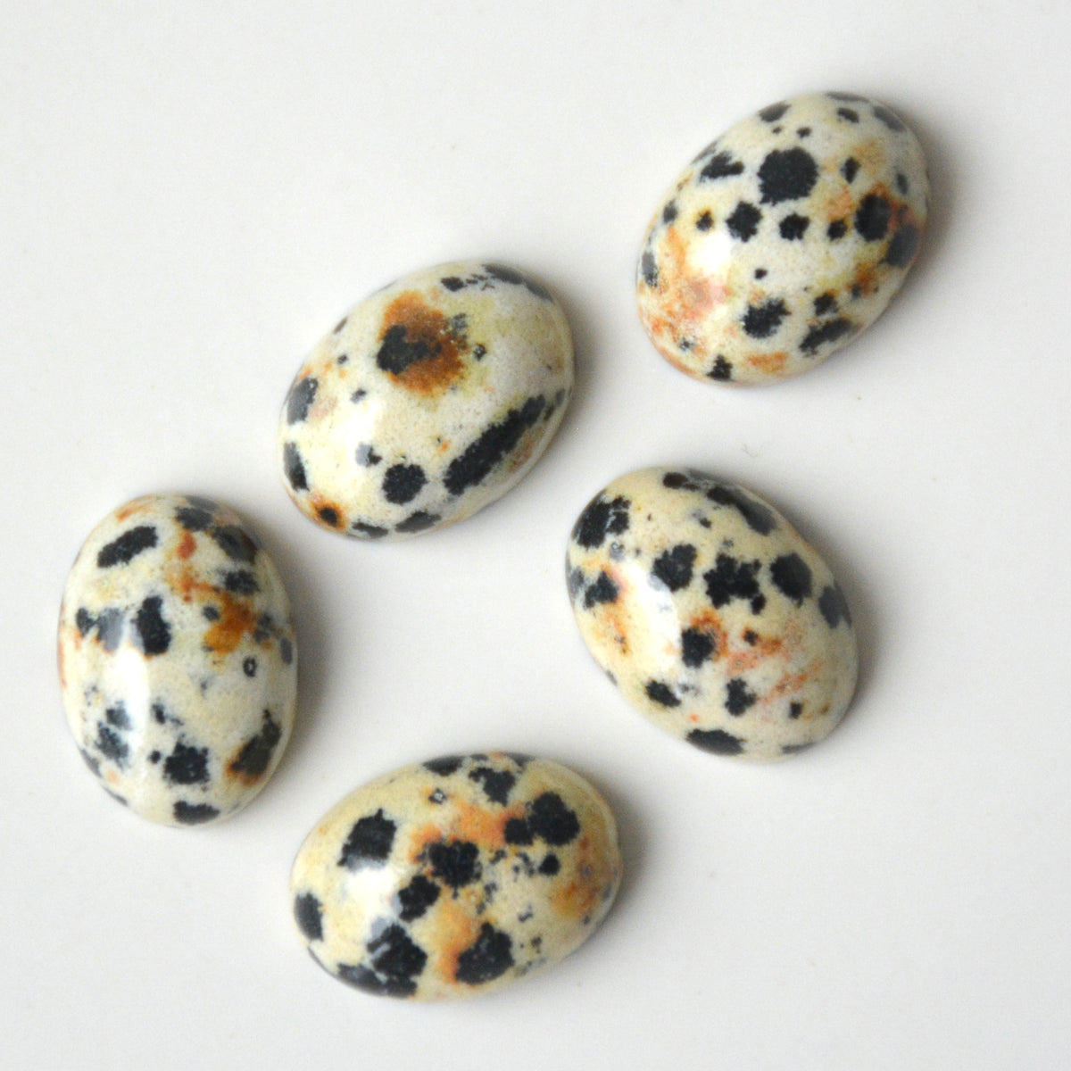 Dalmatiër jaspis | Ovaal cabochon | 14x10 mm