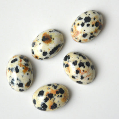 Dalmatiër jaspis | Ovaal cabochon | 14x10 mm