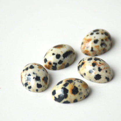 Dalmatiër jaspis | Ovaal cabochon | 14x10 mm