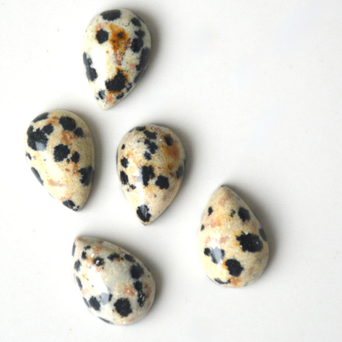 Dalmatiër jaspis | Druppel cabochon | 12x8 mm