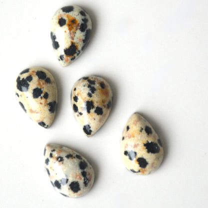 Dalmatiër jaspis | Druppel cabochon | 12x8 mm