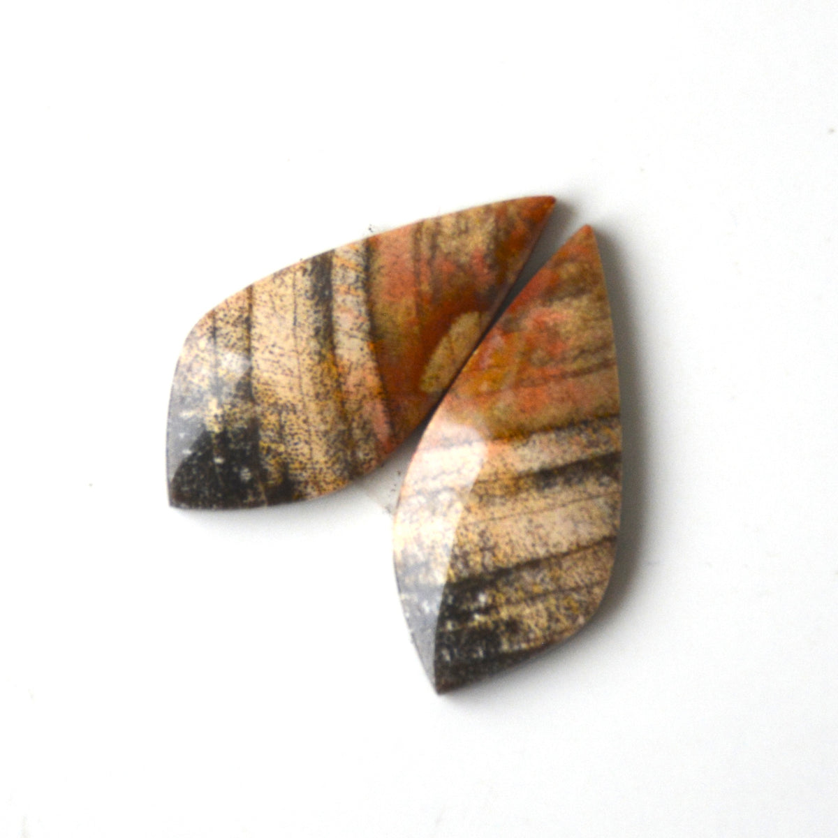 Versteend hout | Cabochon paar | 27x12 mm