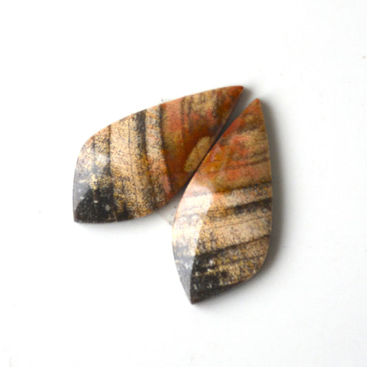 Versteend hout | Cabochon paar | 27x12 mm