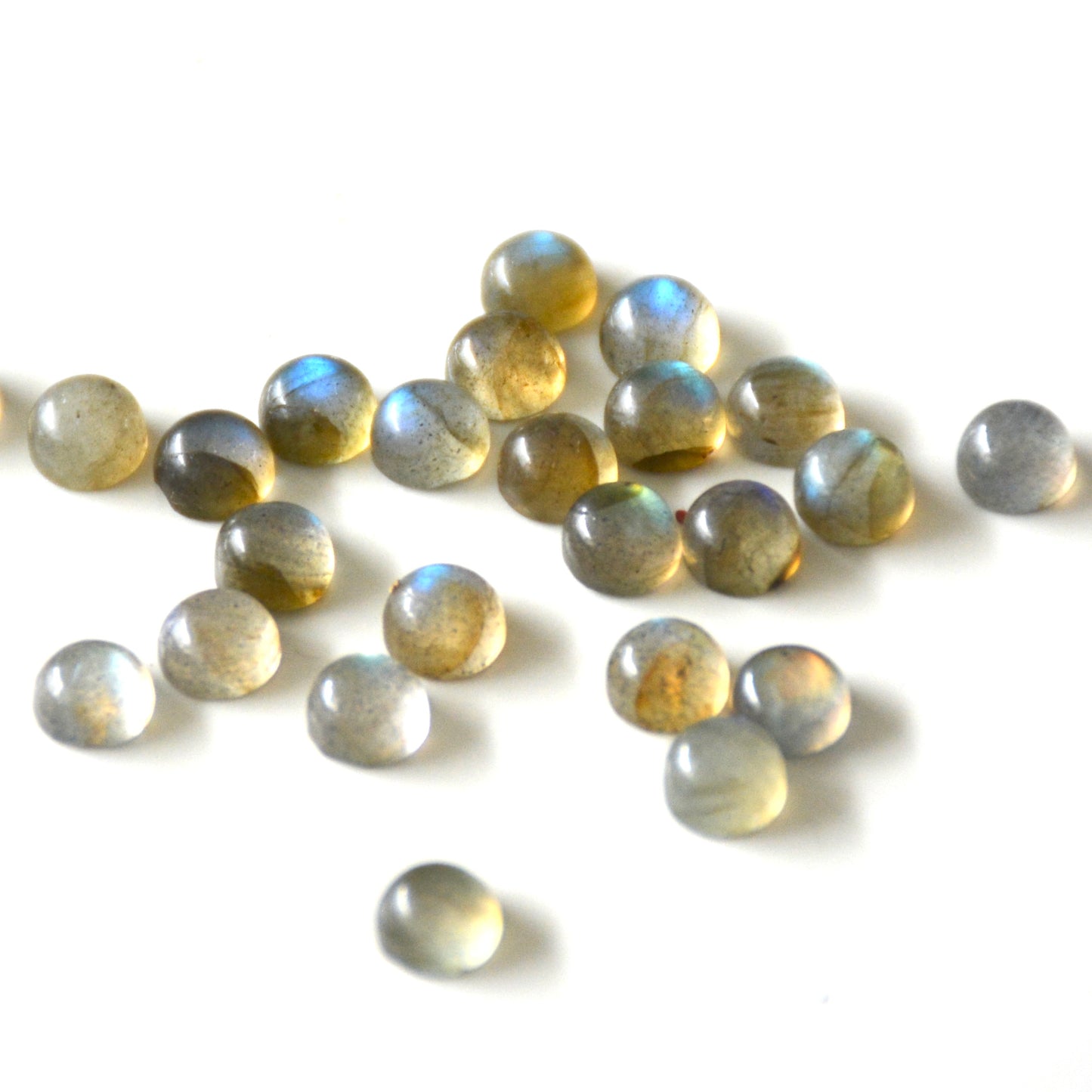 Labradoriet | Cabochon rond | 5 mm